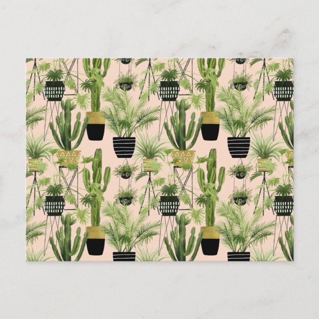 Indoor Oasis | Plant Lineup Pattern Postcard (Front)