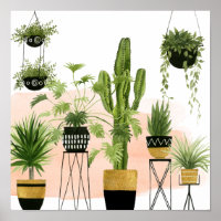 Indoor Oasis