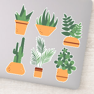 Indoor plants in pots. Botanical set of