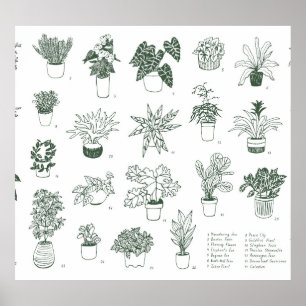 Indoor plants: vintage hand-drawn set. poster