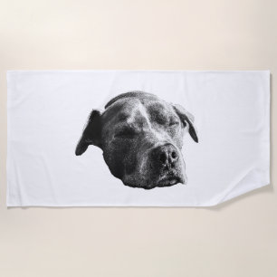 Indoor Pool Quiet Beach Towel