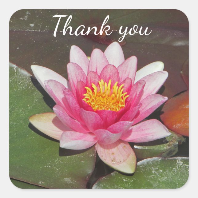 Inexpensive Thank You Bright Pink Water Lily Photo Square Sticker (Front)