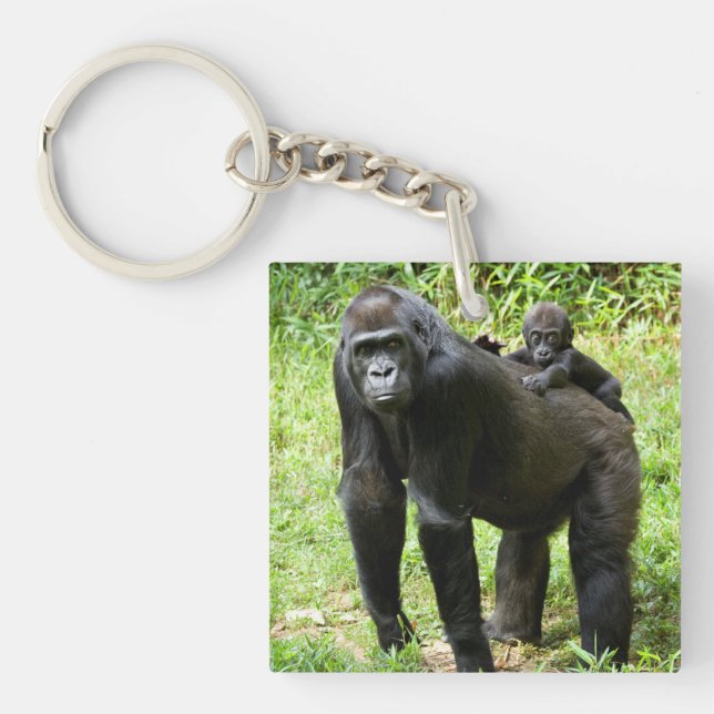 Infant Lowland Gorilla on Mother's Back Key Ring (Front)