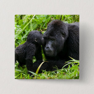 Infant Mountain Gorilla Kisses Silverback Gorilla 15 Cm Square Badge