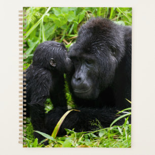 Infant Mountain Gorilla Kisses Silverback Gorilla Planner