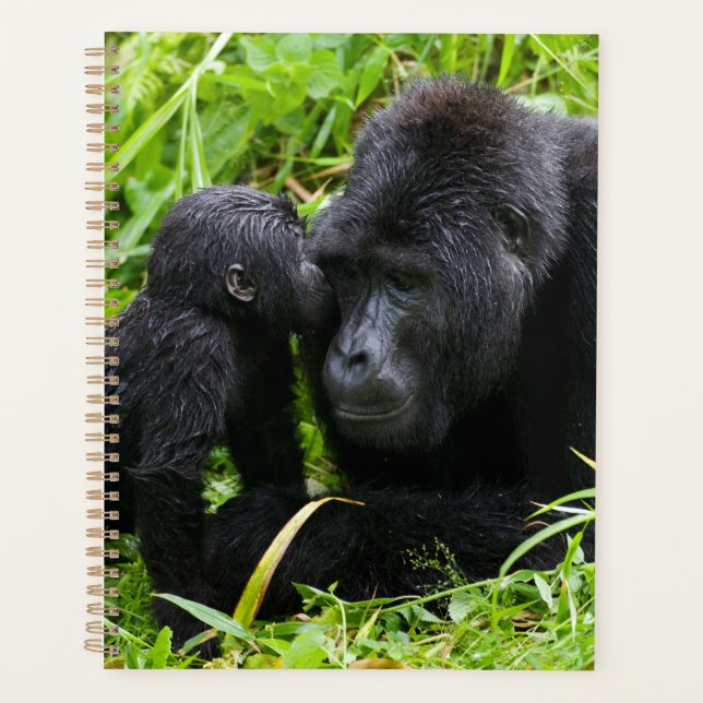 Infant Mountain Gorilla Kisses Silverback Gorilla Planner (Front)