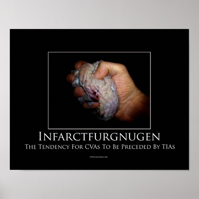 Infarctfurgnugen Motivational Poster (Front)