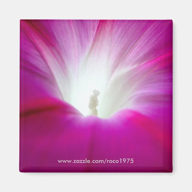 Infini (brighter) magnet (Front)