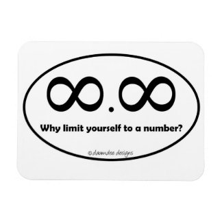 Infininity Dot Infinity Decal Magnet