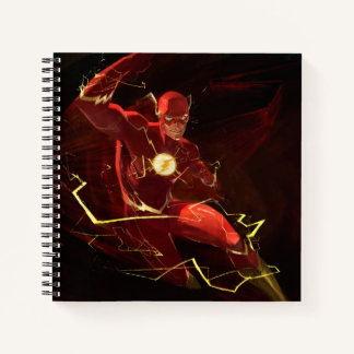 Infinite Crisis Flash Illustration Notebook