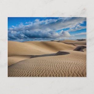 Infinite Dunes Postcard