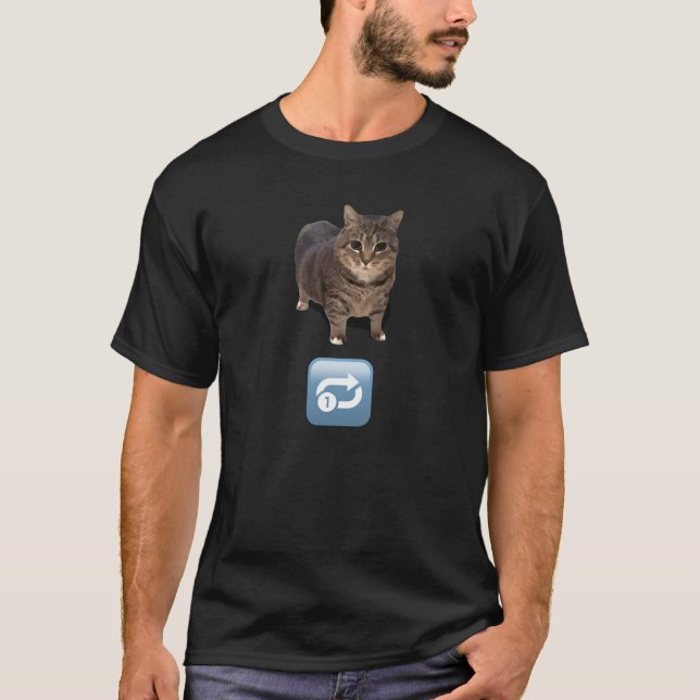 Infinite Spinning Cat T-Shirt (Front)