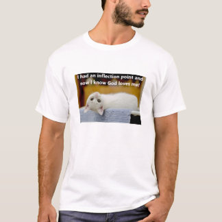 Inflection Point (light) T-Shirt