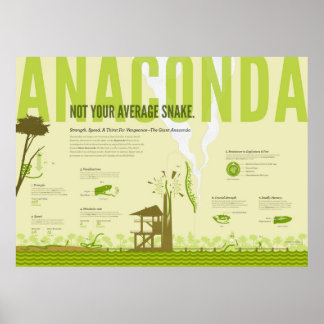 Infographic: Anaconda Poster