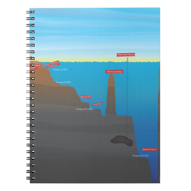 infographic notebook (Front)