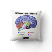 Information Transfer Inside Brain Anatomy Humour