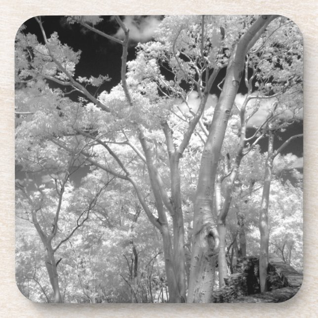 Infra red of trees buildings and trails in Las 2 Coaster (Front)