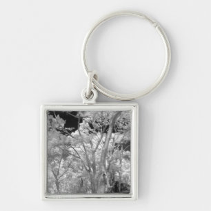 Infra red of trees buildings and trails in Las 2 Key Ring