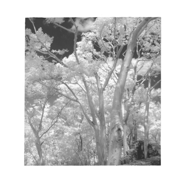 Infra red of trees buildings and trails in Las 2 Notepad (Front)