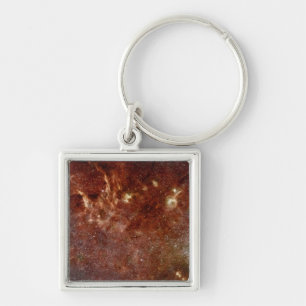 Infrared image key ring