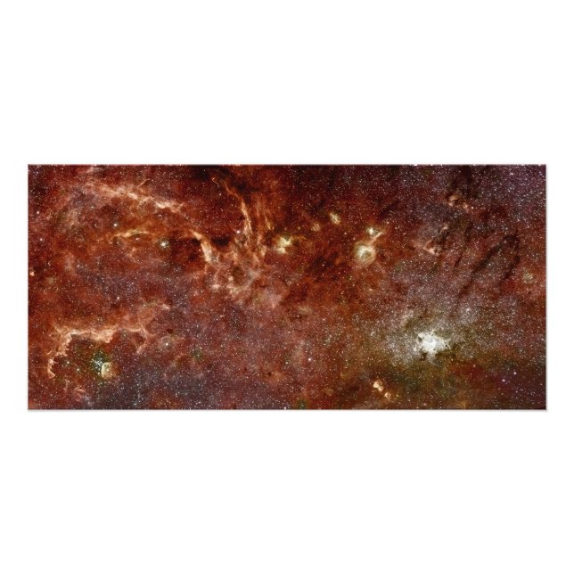 Infrared image photo print (Front)