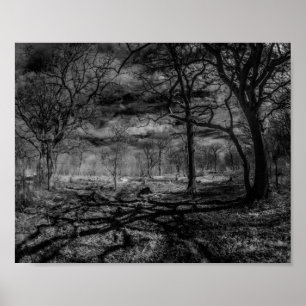 Infrared landscape shadows in the woods poster