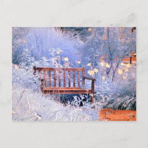 Infrared Park Bench Postcard