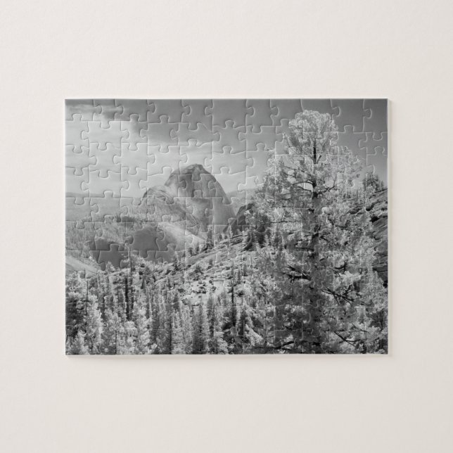 Infrared photo in East side of Yosemite National 2 Jigsaw Puzzle (Horizontal)