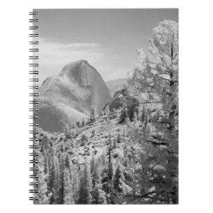 Infrared photo in East side of Yosemite National 2 Notebook