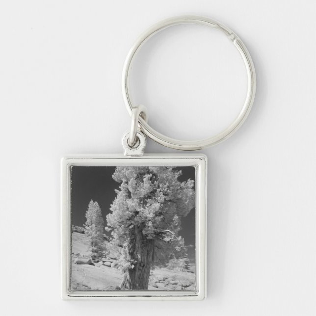 Infrared photo in East side of Yosemite National Key Ring (Front)