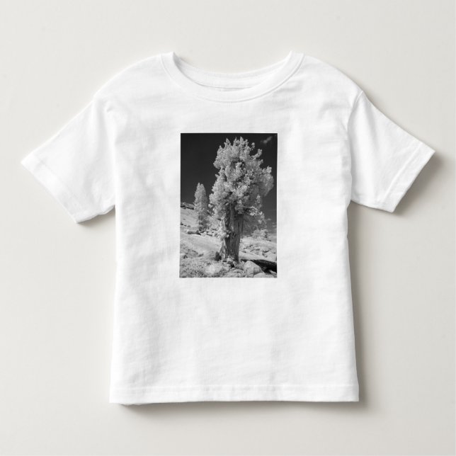 Infrared photo in East side of Yosemite National Toddler T-Shirt (Front)