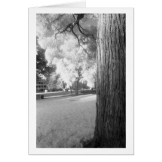 Infrared Tree with border