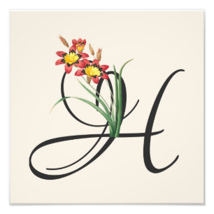 Initial H, Vintage Harlequin Flower Photo Print