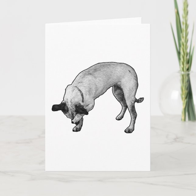 Ink-Drawn Terrier Hello Card (Front)