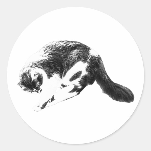 Ink Swoop Kitty Classic Round Sticker (Front)