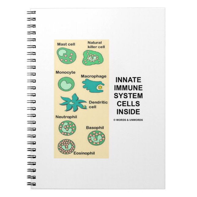 Innate Immune System Cells Inside Immunology Notebook (Front)