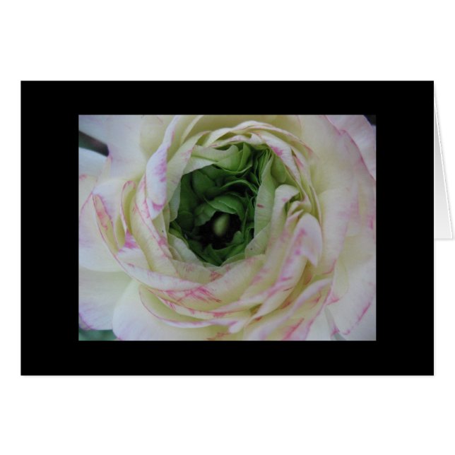 Inner Beauty (Front Horizontal)