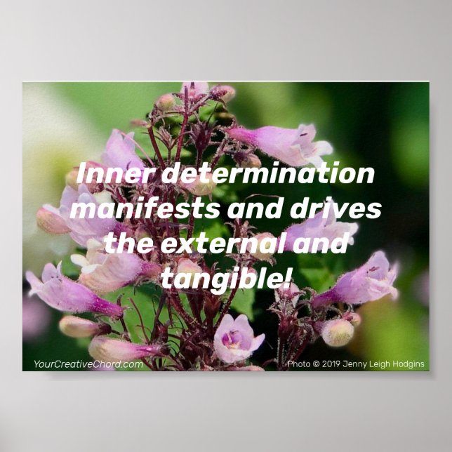 Inner Determination/Purple Blossoms. Poster (Front)
