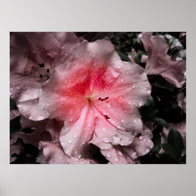 Inner Glow Print (Front)