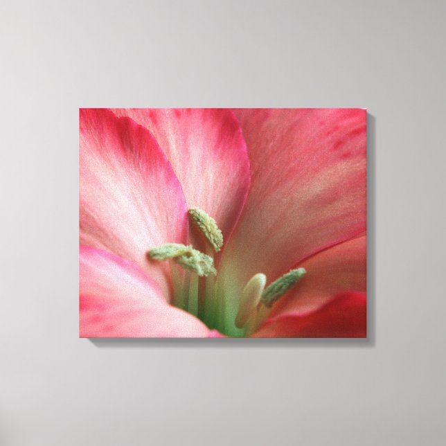 Inner Sanctum Canvas Print (Front)