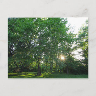 Inniswood Gardens Metropark, Westerville, Ohio Postcard
