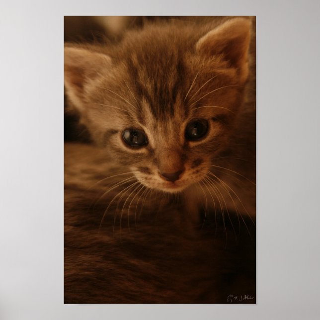 Innocence Poster (Front)