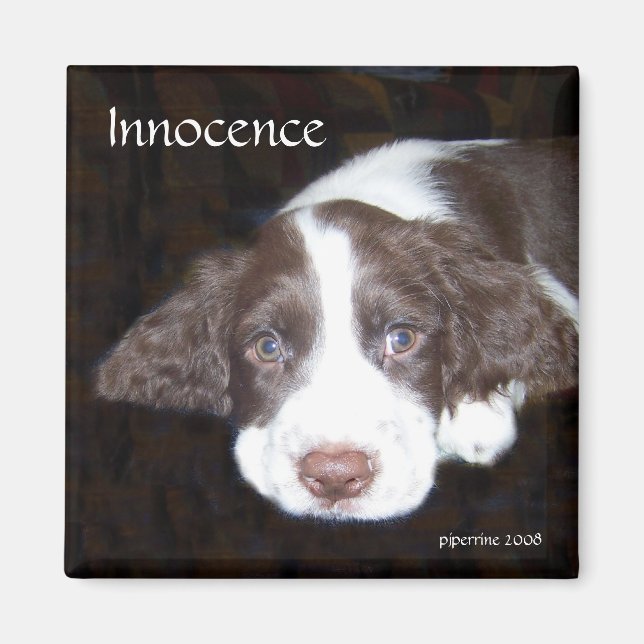 Innocence - Puppy Love Magnet (Front)