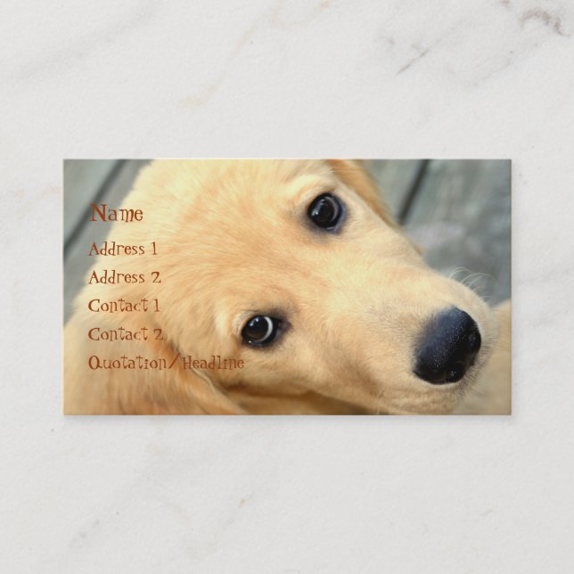 Innocent Abby Business Card (Front)