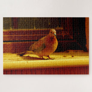 Innocent Dove Jigsaw Puzzle