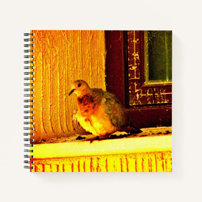 Innocent Dove Notebook (Front)