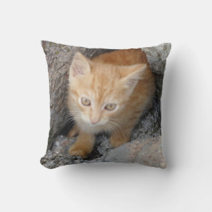 Innocent Kitten Throw Pillow