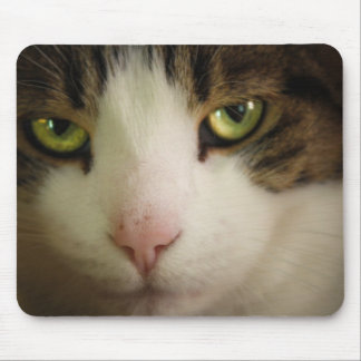 Innocent Looking Mouse Pad