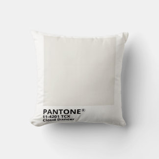 Inpiration pantone 2026 cushion
