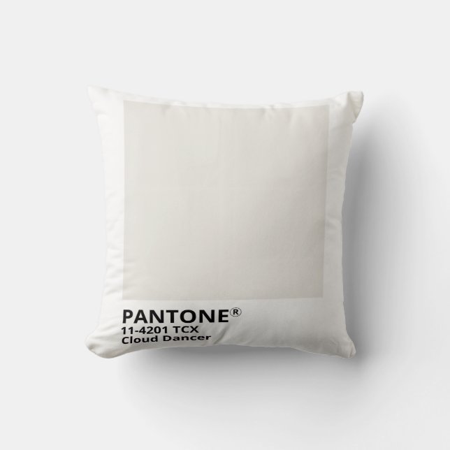 Inpiration pantone 2026 cushion (Front)